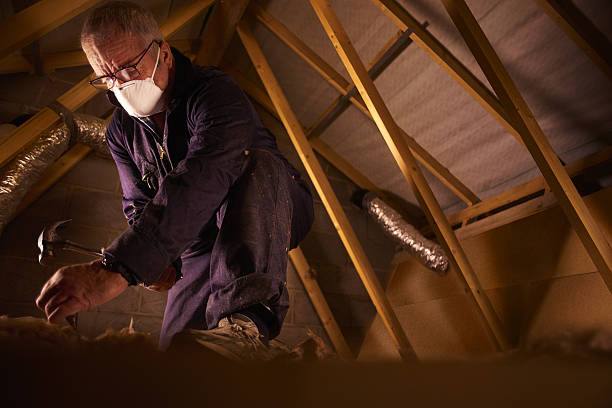 Best Commercial Insulation in Oakhurst, CA
